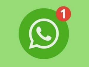 Whatsapp bahis kanalları 2021